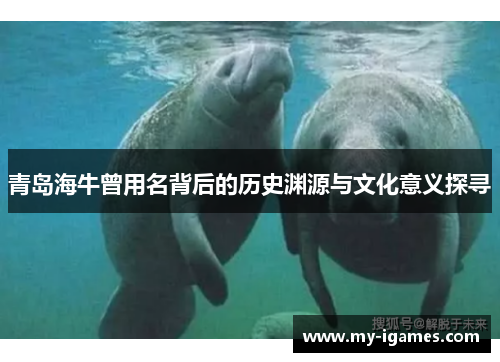 青岛海牛曾用名背后的历史渊源与文化意义探寻